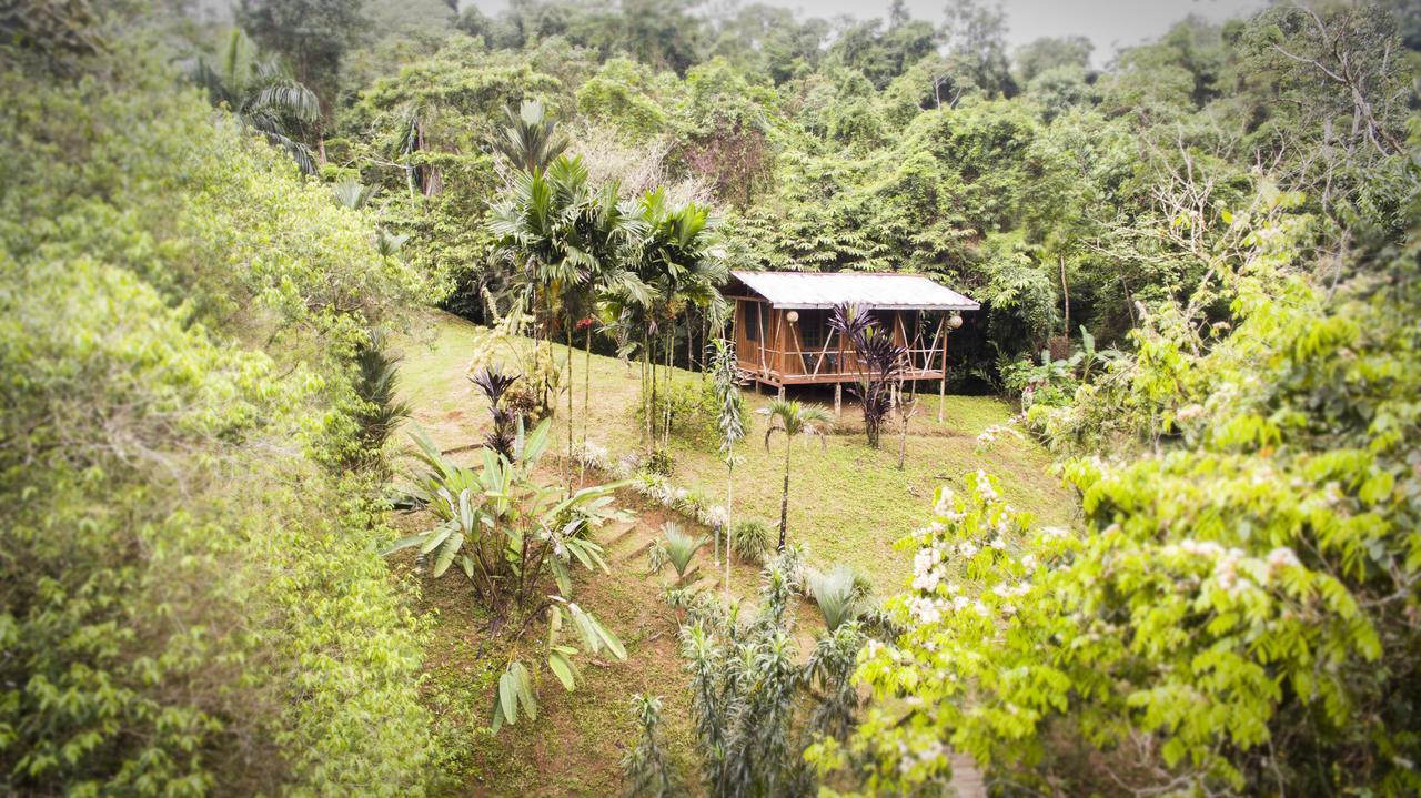 Naguala Jungle Lodge Drakes Bay Kültér fotó